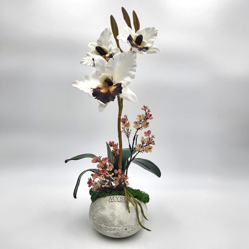 Fehér orchidea