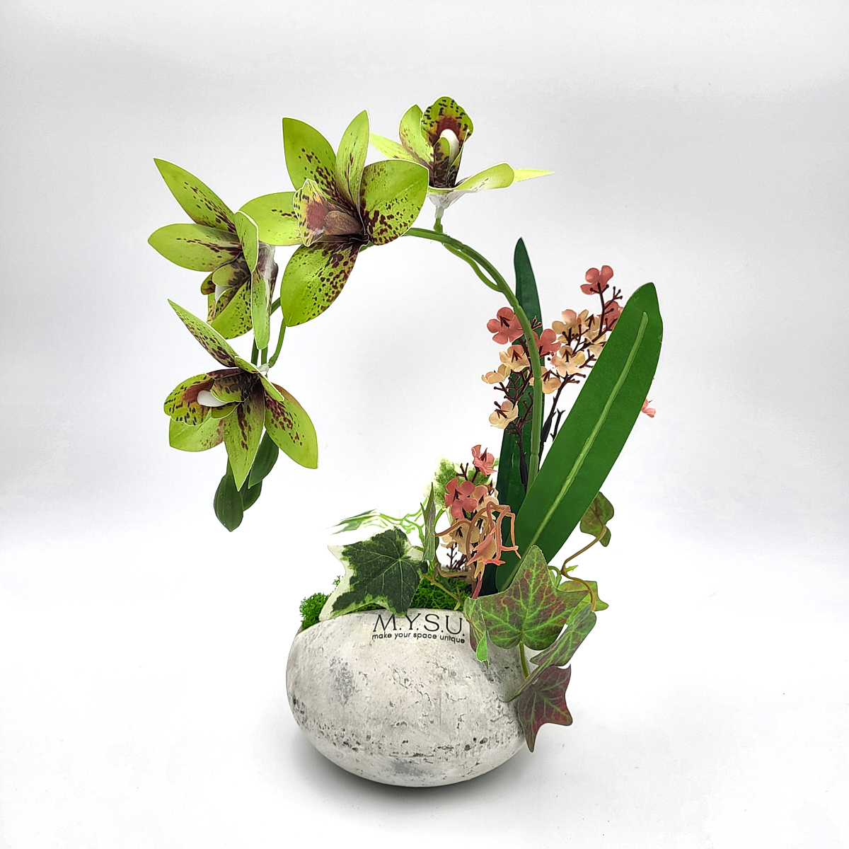 Világoszöld orchidea
