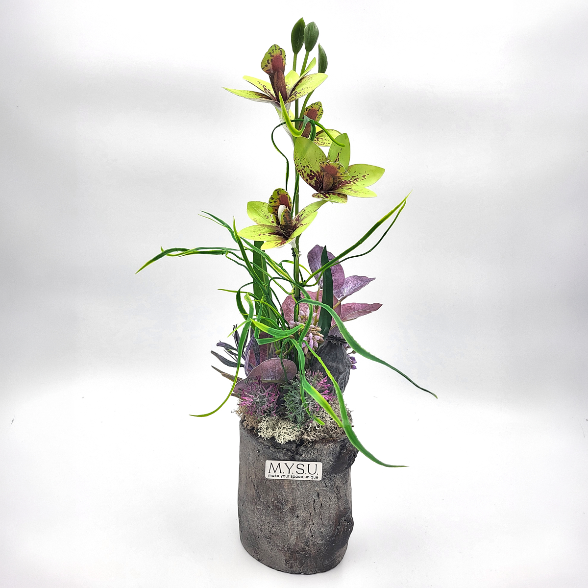 Világoszöld orchidea