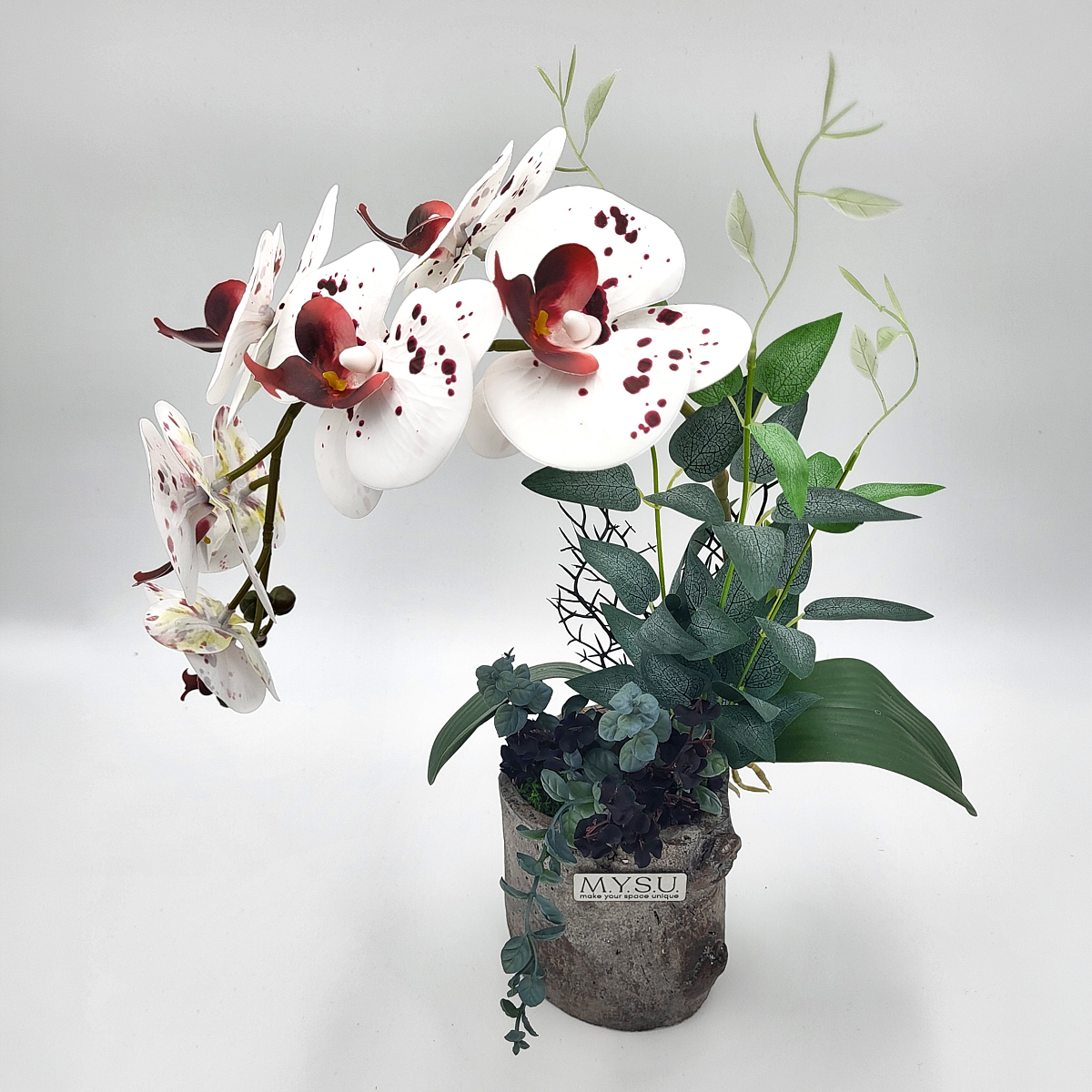 Fehér nagy szirmú orchidea
