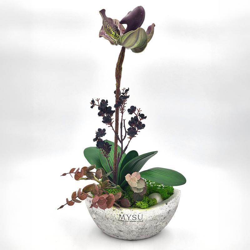 Lila orchidea 